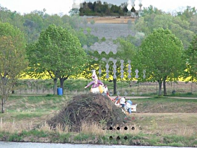 carnaval 2010 (143).jpg